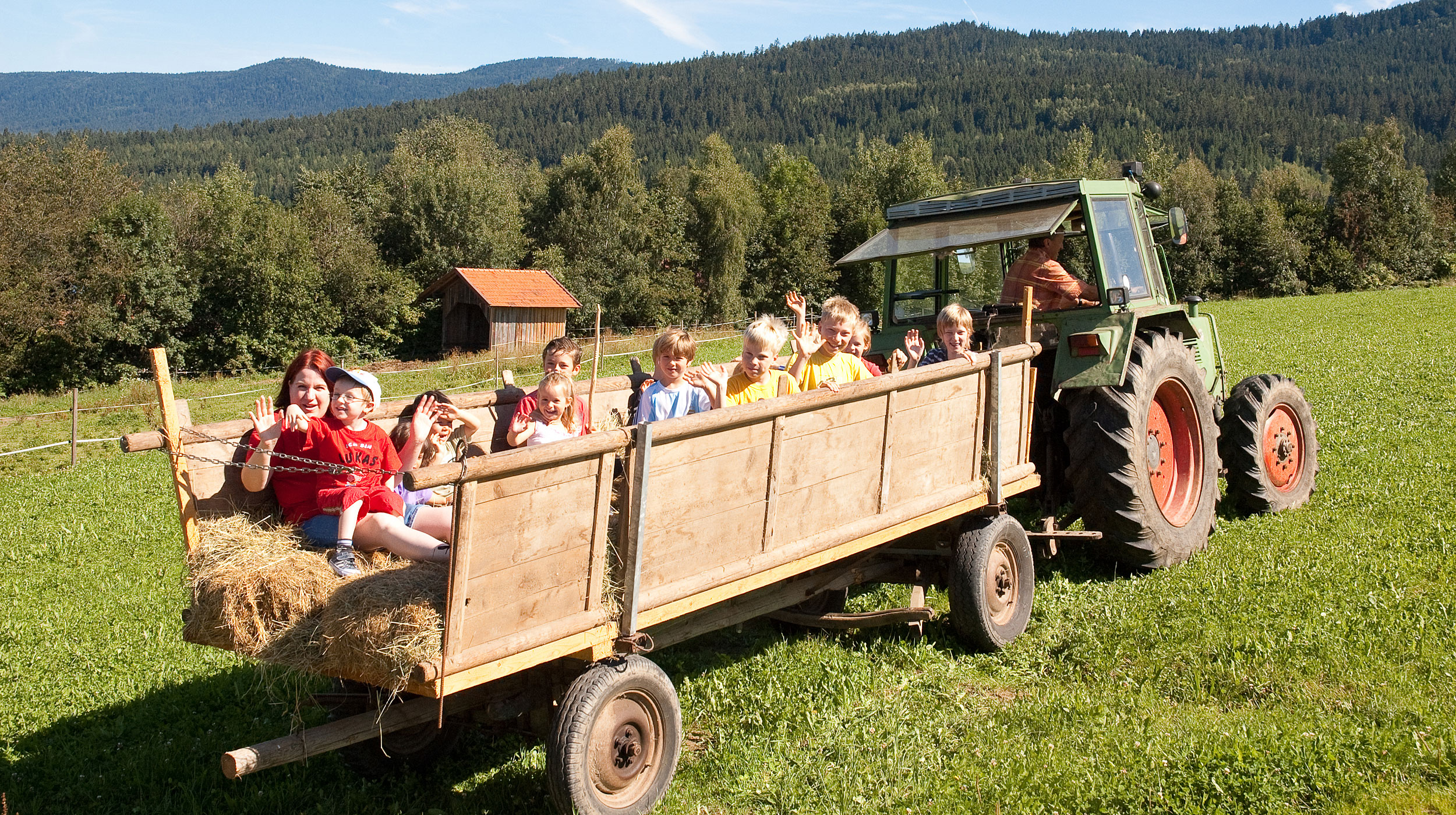 Urlaub auf dem Bauernhof im Zellertal